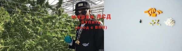 амф Абаза