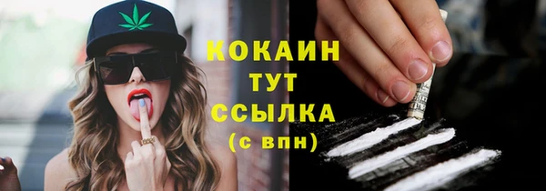 дживик Абинск